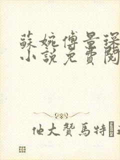 苏婉傅景琛穿越小说免费阅读