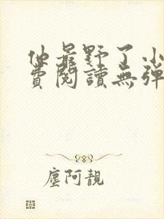 他最野了小说免费阅读无弹窗