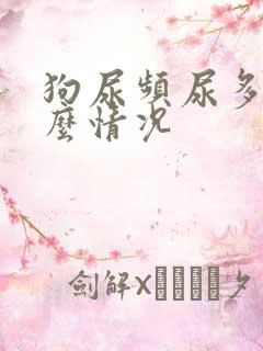 狗尿频尿多是什么情况