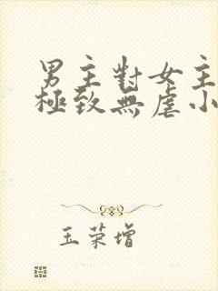 男主对女主宠到极致无虐小说