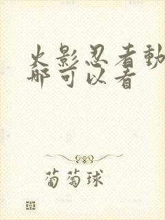 火影忍者动漫在哪可以看