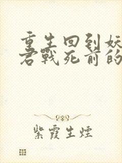 重生回到妖鬼夫君战死前的小说
