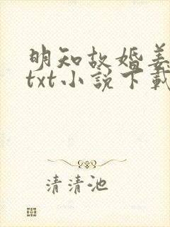 明知故婚姜之鱼txt小说下载