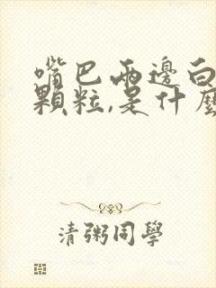 嘴巴两边白色的颗粒,是什么东西