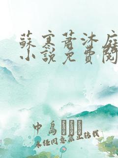 苏寒萧沐庭穿越小说免费阅读全文