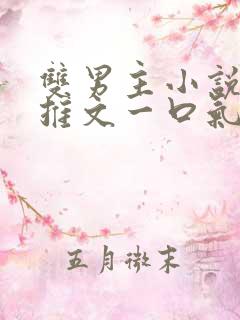 双男主小说爽文推文一口气看完