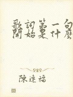 歌词第一句是一开始是什么歌