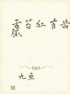 舌苔红有齿痕黄腻