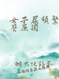 女子尿频繁是什么原因