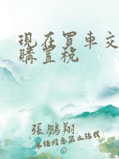 现在买车交多少购置税