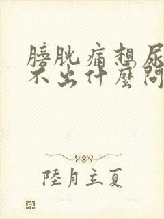 膀胱痛想尿又尿不出什么问题