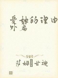 爱她的理由会番外篇