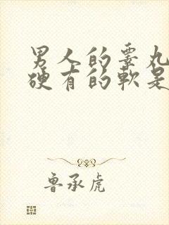 男人的睾丸有的硬有的软是怎么回事