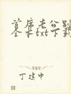 首席老公别惹我全本txt下载