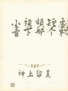 小视频短剧免费看下哪个软件