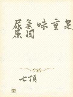 尿氨味重是什么原因