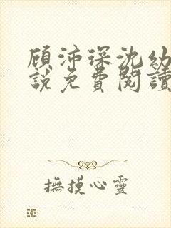 顾沛琛沈幼宁小说免费阅读最新章节