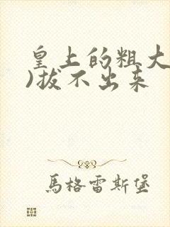 皇上的粗大(h)拔不出来