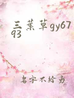 三叶草gy6793