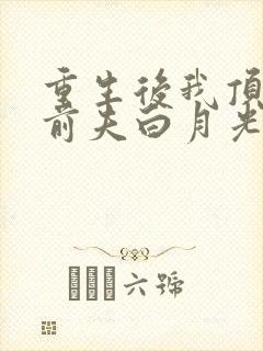 重生后我顶替了前夫白月光说九九月