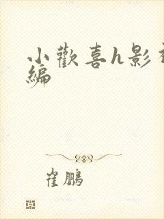 小欢喜h影视改编