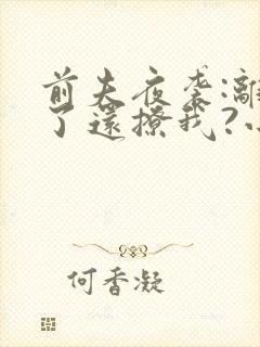 前夫夜袭:离婚了还撩我?小说阅读