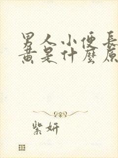 男人小便长期尿黄是什么原因