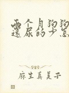 两个月狗狗尿频还尿的少怎么办