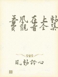 吾凰在上动漫免费观看全集