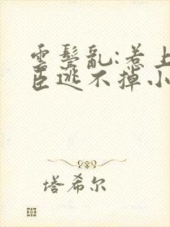 云鬓乱:惹上奸臣逃不掉小说txt