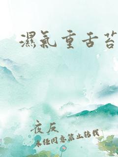 湿气重舌苔黄厚