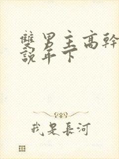 双男主高干文小说年下