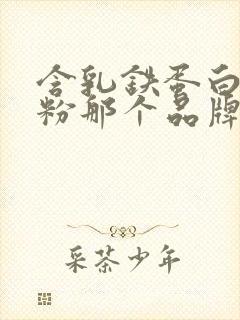 含乳铁蛋白的奶粉那个品牌好