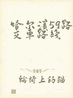 哈尔滨59路公交车路线