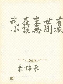 我在末世有套房小说无删减