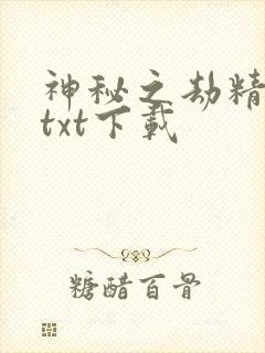 神秘之劫精校版txt下载