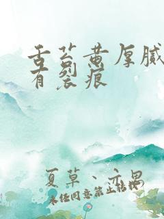 舌苔黄厚腻中间有裂痕