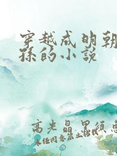 穿越成明朝皇太孙的小说