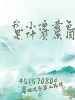 我小便黄色带泡是什么原因