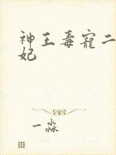 神王毒宠二嫁王妃