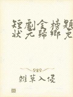 短剧金榜题名之状元归乡免费观看