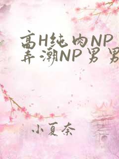 高H纯肉NP 弄潮NP男男