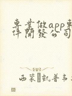 专业做app软件开发公司