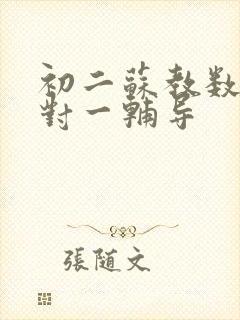 初二苏教数学一对一辅导