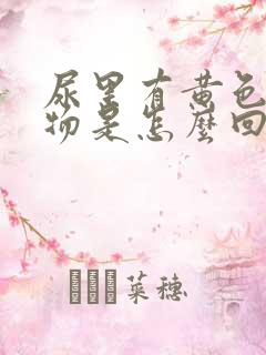 尿里有黄色沉淀物是怎么回事