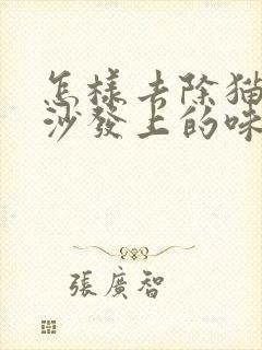 怎样去除猫尿在沙发上的味道