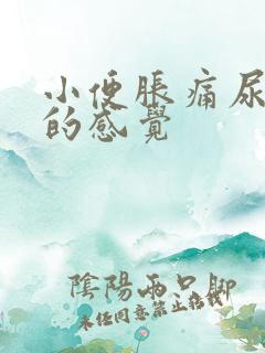 小便胀痛尿不尽的感觉