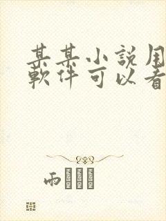 某某小说用什么软件可以看