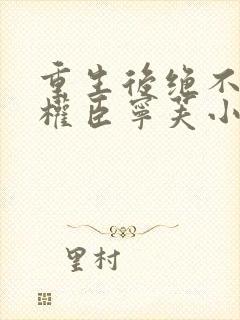 重生后绝不嫁给权臣宁芙小说最新章节