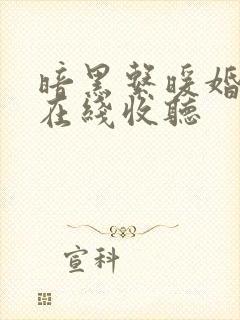 暗黑系暖婚小说在线收听